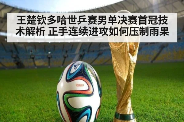 王楚钦多哈世乒赛男单决赛首冠技术解析 正手连续进攻如何压制雨果